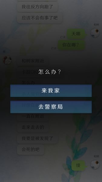 我的女友在被人追赶图2