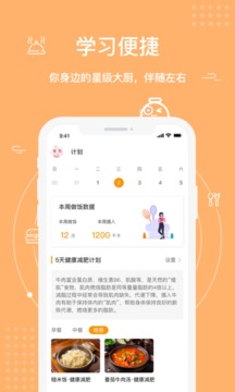 FAN碗图2