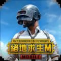 pubg国际服