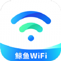 鲸鱼WiFi