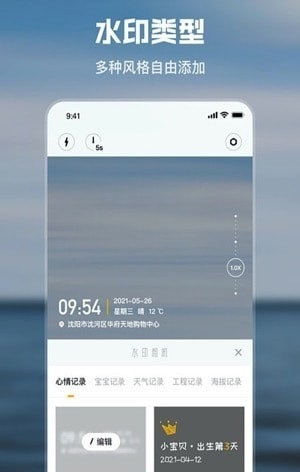 雨燕图1