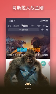 PP视频图3